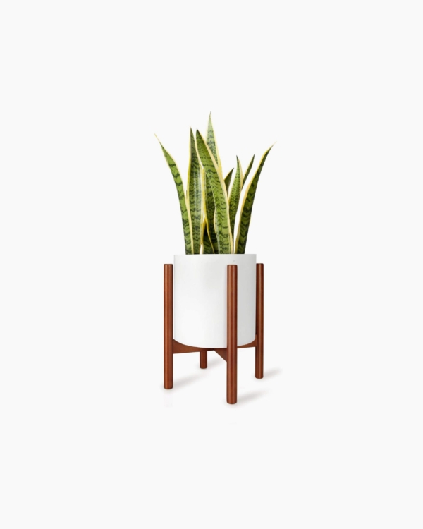 Coaster 526322-CO Loveseat