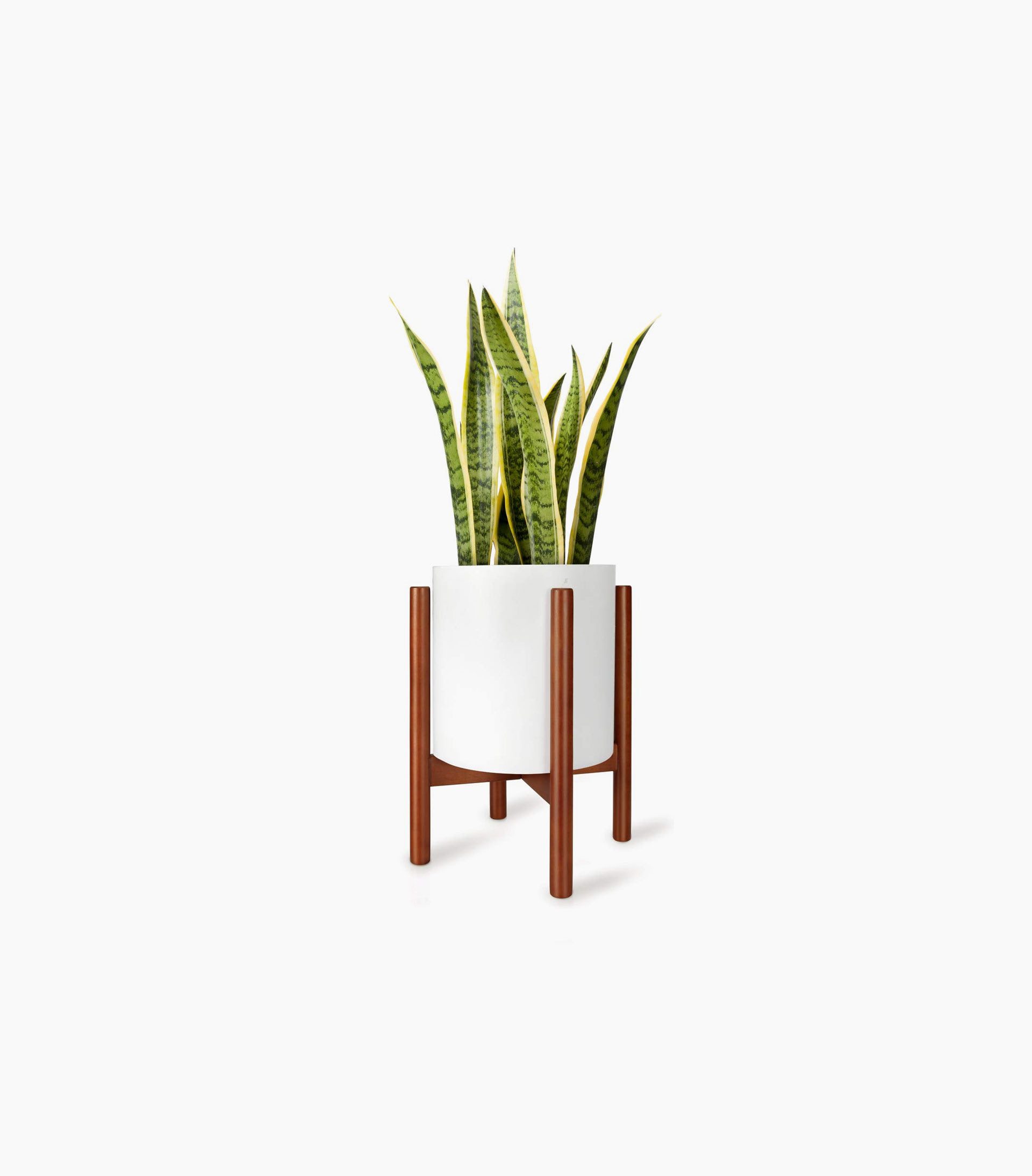 Coaster 526322-CO Loveseat