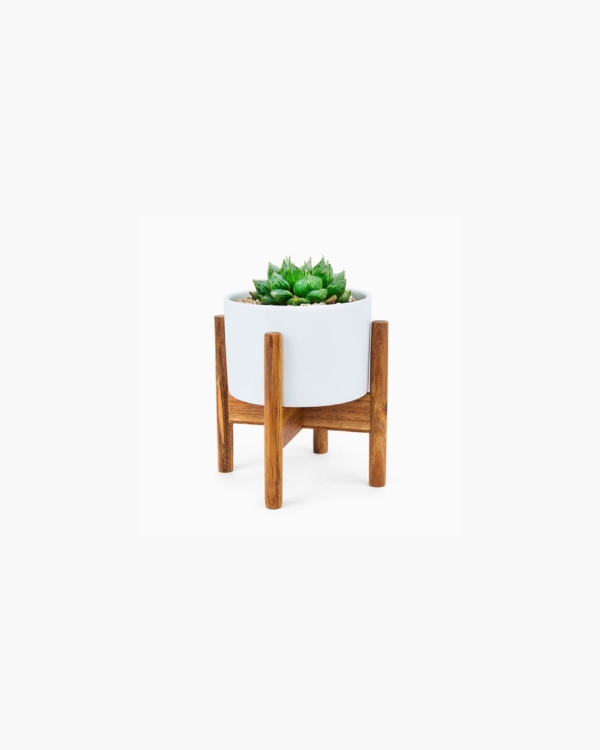 Tiers Plant Rack Indoor Floor