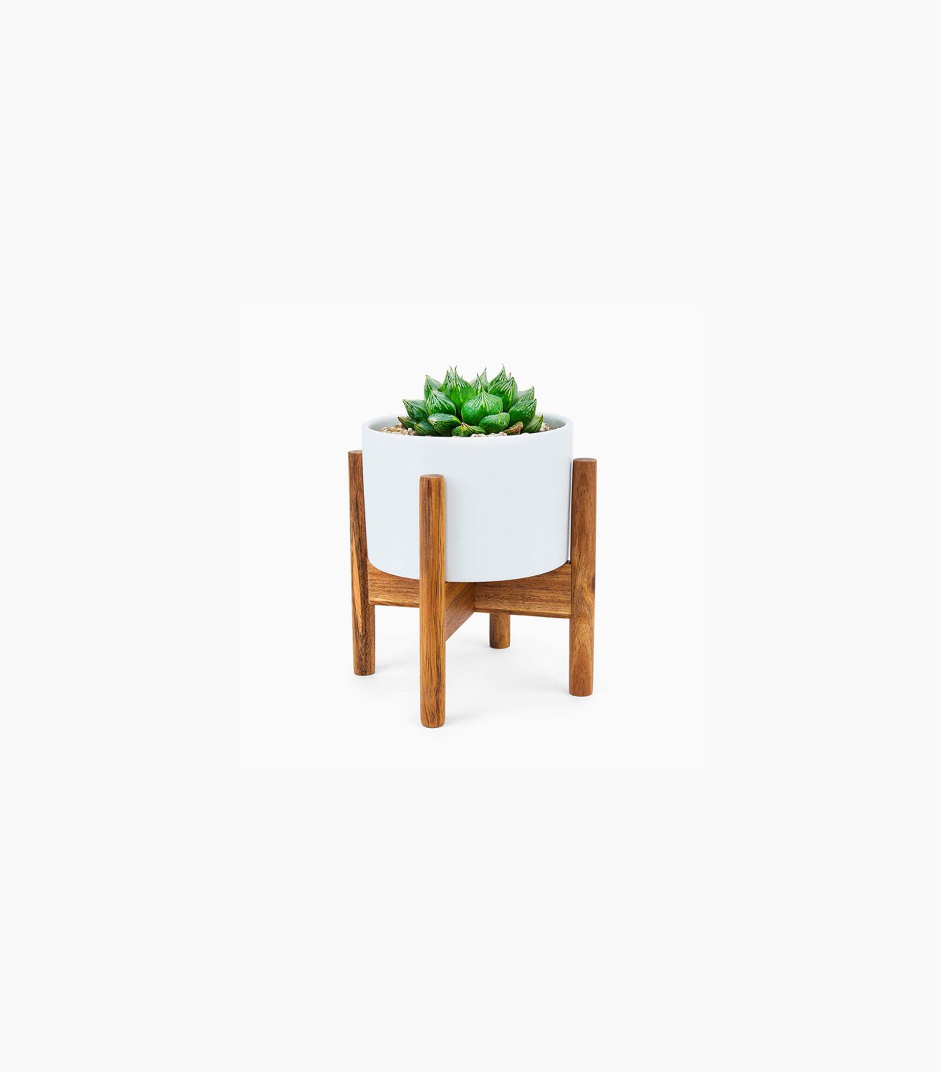 Tiers Plant Rack Indoor Floor